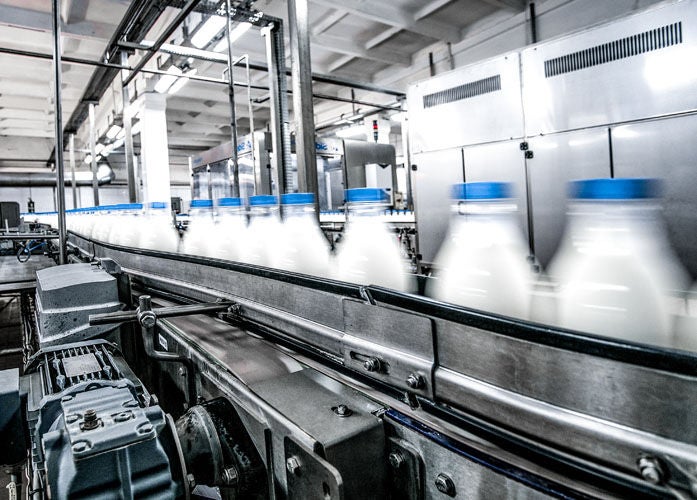 Food - Beverage, conveyor, milk bottles Milk bottling plant