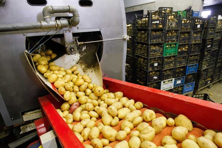 Food - Beverage, potatoes, conveyor 1) In barrel washers for vegetables, bearings submerge in water with every rotation of the drum